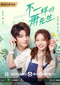 A Different Mr. Xiao poster