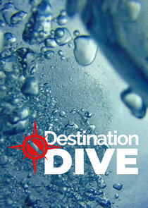 Destination Dive poster