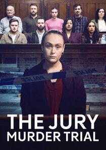 The Jury: Murder Trial poster