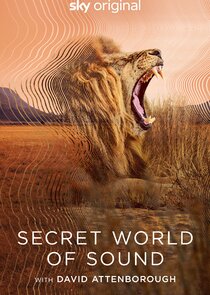 Secret World of Sound with David Attenborough poster