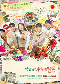 Twinkling Watermelon poster
