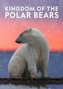 Kingdom of the Polar Bears poster