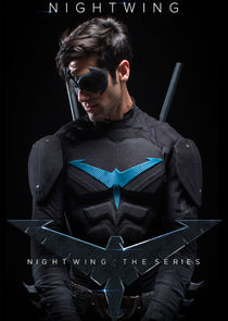 Nightwing: The Series poster