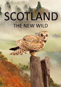 Scotland - The New Wild poster