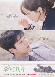Serendipity's Embrace poster