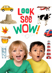 Look See Wow! poster