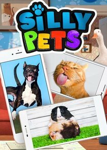 Silly Pets poster