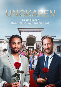 Ungkaren poster