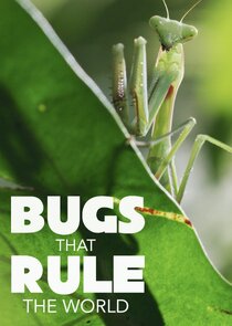 Bugs that Rule the World poster
