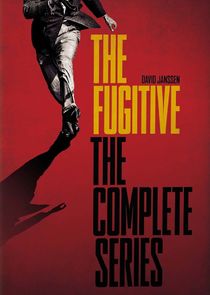 The Fugitive poster
