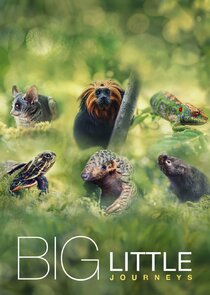 Big Little Journeys poster