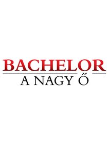 Bachelor – A Nagy Ő poster