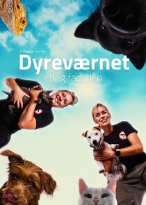 Dyreværnet – bag facaden poster