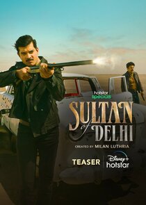 Sultan of Delhi poster