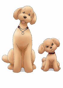 Dog Signal poster