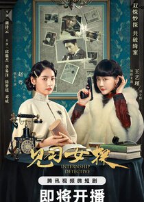Internship Detective poster