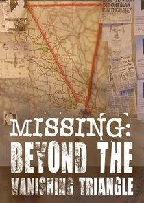 Missing: Beyond The Vanishing Triangle poster