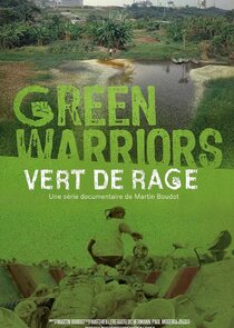 Vert de rage poster