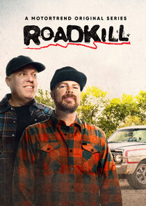 Roadkill poster