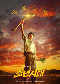 Boyhood poster