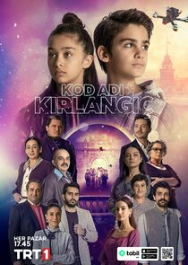 Kod Adı Kırlangıç poster