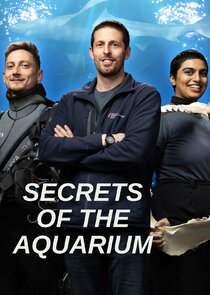 Secrets of the Aquarium poster
