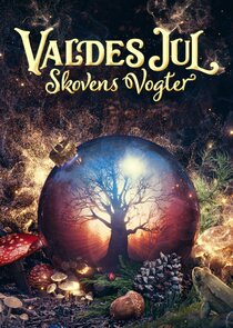 Valdes Jul poster