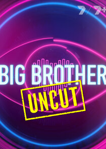 Big Brother Uncut poster