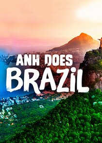 Anh Does Brazil poster