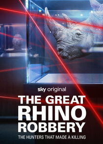 The Great Rhino Robbery poster