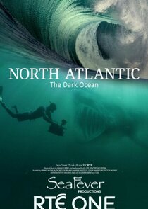 North Atlantic: The Dark Ocean poster