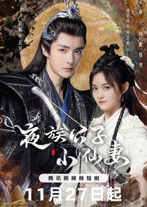 Devil Falls in Love with Fairy poster