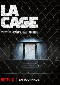 La cage poster