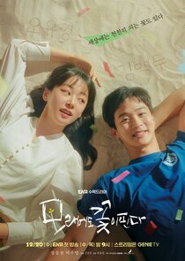 Like Flowers in Sand poster