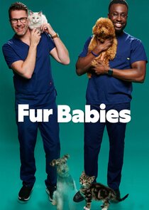 Fur Babies poster