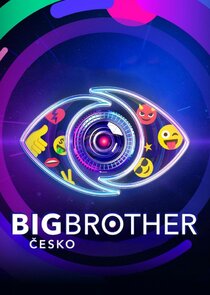 Big Brother poster