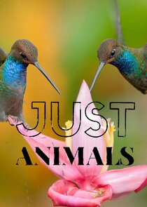 Just Animals poster