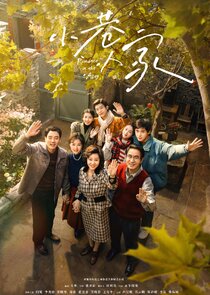 Romance in the Alley poster