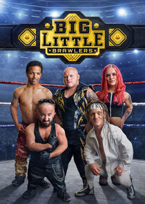 Big Little Brawlers poster