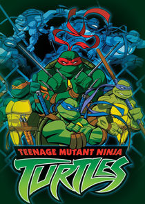 Teenage Mutant Ninja Turtles poster