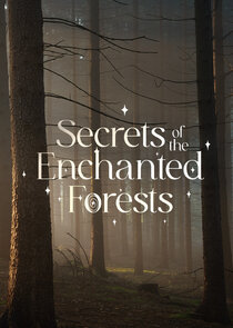 Secrets of the Enchanted Forests poster