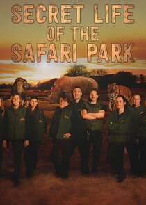 Secret Life of the Safari Park poster