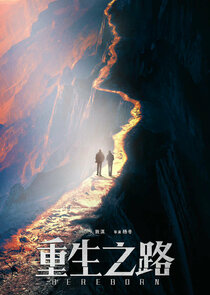 Be Reborn poster