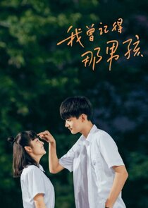 Remember My Boy poster