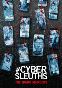 #CyberSleuths: The Idaho Murders poster