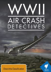 WWII Air Crash Detectives poster
