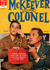 McKeever and the Colonel poster