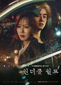 Wonderful World poster