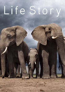 Life Story poster