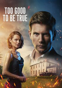 Too Good to Be True poster